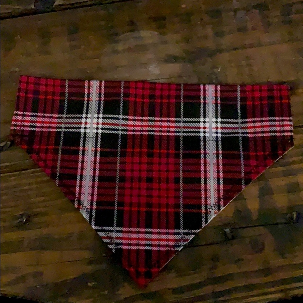 Small over dog collar bandana
